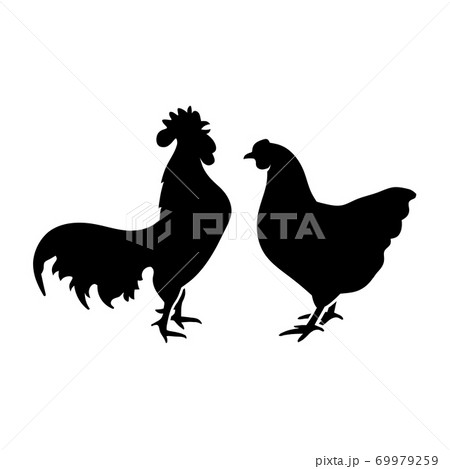 Farm animal silhouette in black on a white background ,chicken Silhouettes isolated on white vector	 69979259