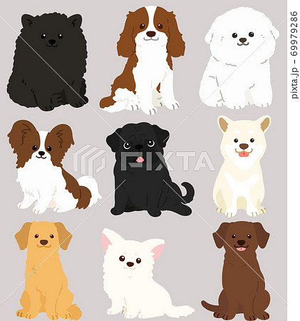 お座りする色々な犬のシンプルで可愛いイラスト セットc 主線なしのイラスト素材