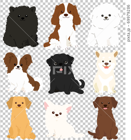 お座りする色々な犬のシンプルで可愛いイラスト　セットC　主線なし 69979286