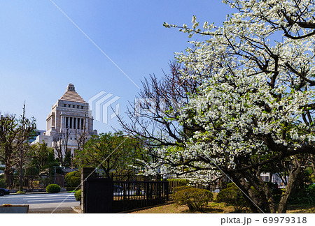 国会議事堂の外観【日本の政治のイメージ】 69979318