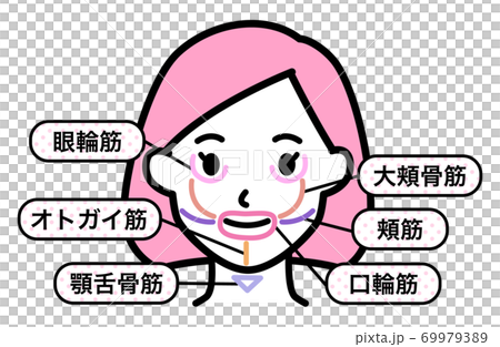 顔 筋肉 部位（女性） 69979389