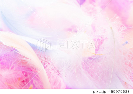 カラフルな羽根 カラフルな羽根 69979683