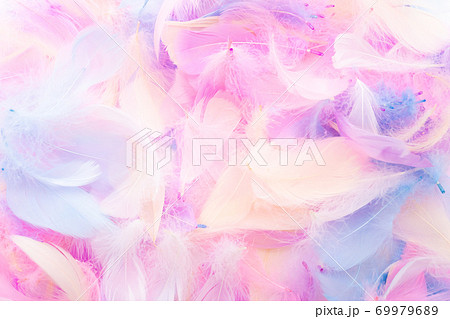 カラフルな羽根 69979689