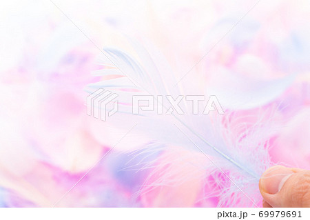 カラフルな羽根 カラフルな羽根 69979691