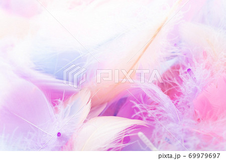 カラフルな羽根 69979697