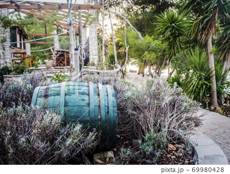 Abandoned old turquoise barrel in the bushes 69980428