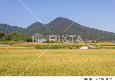 初秋の二上山 初秋の二上山 69981072