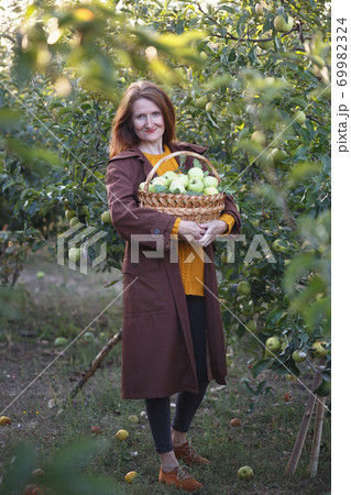girl holds basket with juicy apples in the garden girl holds basket with juicy apples in the garden 69982324