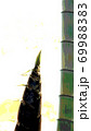 竹 69988383
