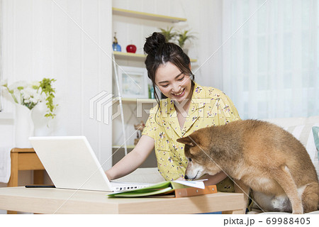 テレワークを邪魔する犬の写真素材