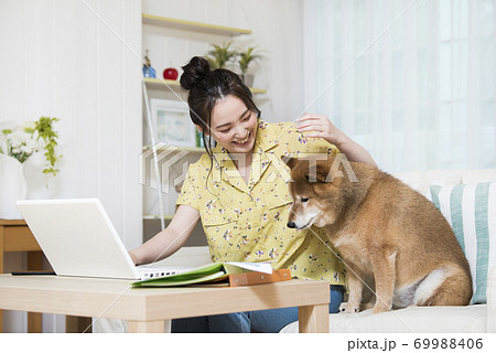 テレワークを邪魔する犬の写真素材