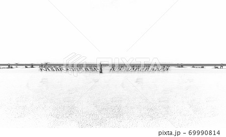 学校　運動会　綱引き　観客有り　建物無し　イラスト46 69990814