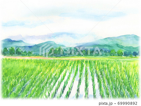 水彩で描いた田舎の田んぼの風景 69990892