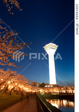 【縦構図】五稜郭公園の夜桜、五稜郭タワーも入れて 函館市五稜郭公園にて 【縦構図】五稜郭公園の夜桜、五稜郭タワーも入れて 函館市五稜郭公園にて 69991005