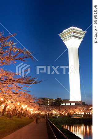 【縦構図】五稜郭公園の夜桜、五稜郭タワーも入れて 函館市五稜郭公園にて 【縦構図】五稜郭公園の夜桜、五稜郭タワーも入れて 函館市五稜郭公園にて 69991006