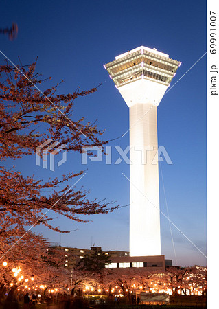 【縦構図】五稜郭公園の夜桜、五稜郭タワーも入れて　函館市五稜郭公園にて 69991007