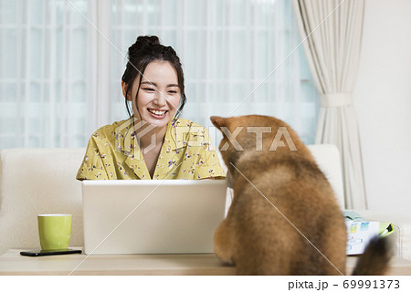 テレワークを邪魔する犬 テレワークを邪魔する犬 69991373