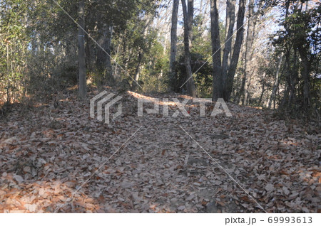 冬枯れの山道(鐘撞堂山/埼玉県深谷市) 冬枯れの山道(鐘撞堂山/埼玉県深谷市) 69993613