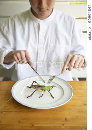 昆虫食のイメージ 69994844