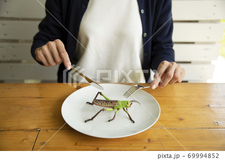 昆虫食のイメージ 69994852