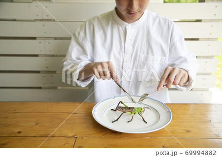 昆虫食のイメージ 昆虫食のイメージ 69994882