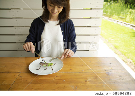 昆虫食のイメージ 69994898