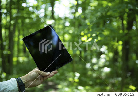 森の中でタブレットPCを持つミドル男性の手元 森の中でタブレットPCを持つミドル男性の手元 69995015