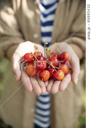 サクランボを持つ若い女性の手元 69995410