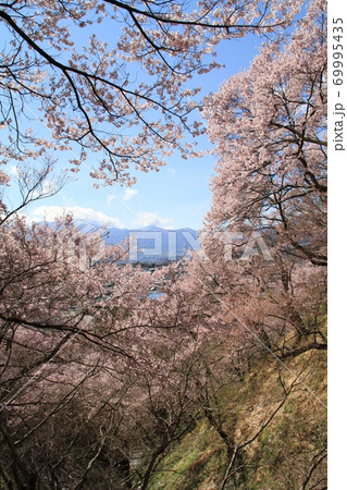 桜の咲く春の高遠の風景 69995435