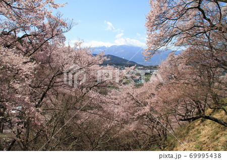 桜の咲く春の高遠の風景 桜の咲く春の高遠の風景 69995438
