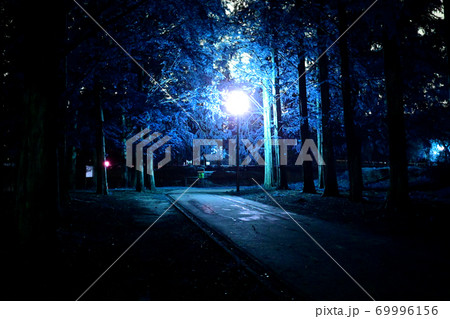 夜の公園 69996156