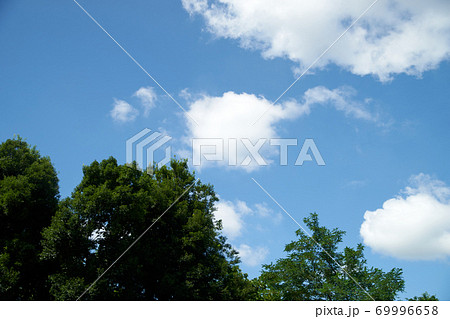 青空・雲・森・空・右あき 青空・雲・森・空・右あき 69996658