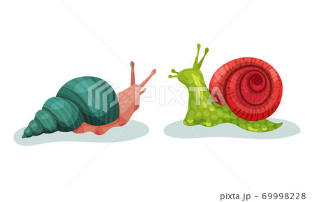 Crawling Snails As Shelled Gastropod With のイラスト素材 Crawling Snails As Shelled Gastropod With のイラスト素材