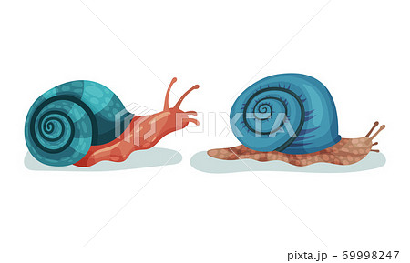 Crawling Snails As Shelled Gastropod With のイラスト素材