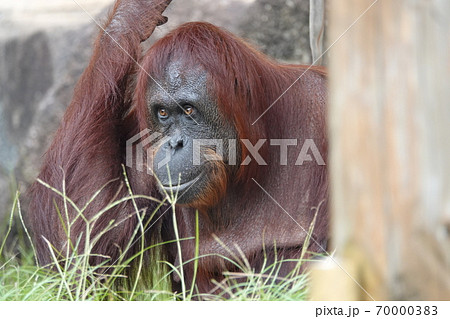 目線の先には何があるのかな 70000383