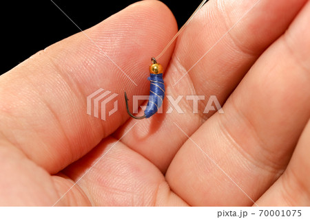 Feathers on the hook for fishing in the hand 70001075