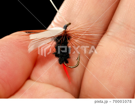 Feathers on the hook for fishing in the hand Feathers on the hook for fishing in the hand 70001078