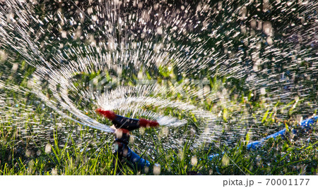 Splashing water to water the lawn as a background Splashing water to water the lawn as a background 70001177