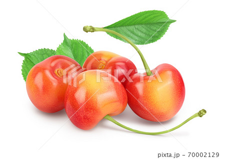 yellow-red sweet cherry isolated on white background with clipping path and full depth of field 70002129