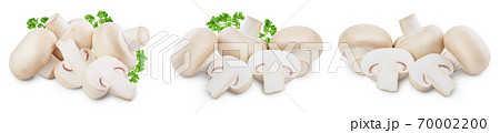 Fresh mushrooms champignon isolated on white background with clipping path and full depth of field. Set or collection 70002200