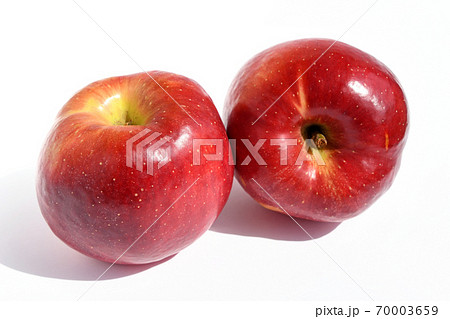 りんご（すわっこ） 70003659