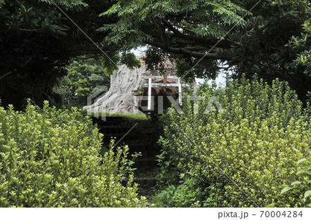 木々の奥に佇む鳥居 木々の奥に佇む鳥居 70004284