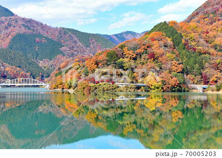 丹沢湖 紅葉 丹沢湖 紅葉 70005203