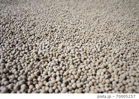 白いエゴマ 白いエゴマ 70005257