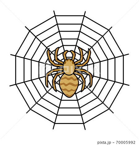黄色い毒蜘蛛のイラスト素材