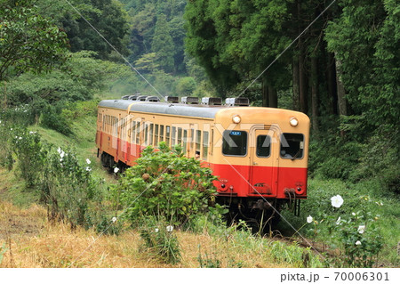 小湊鐵道「山間部の中を行く昔懐かしい列車」 70006301