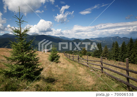 Beautiful mountain landscape with spruce in the foreground 70006538