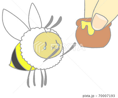蜂蜜を収穫されるミツバチ（灰色） 70007193