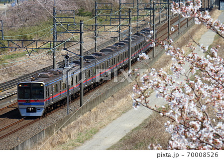 京成電鉄の3400形とさくら 70008526