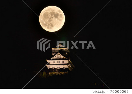 中秋の名月 70009065